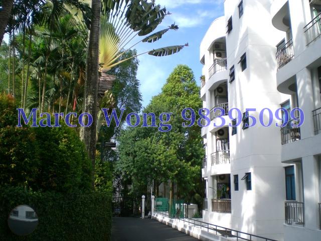 Holland Peak (D10), Condominium #85483042